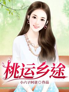 桃运乡村小神医沈枫
